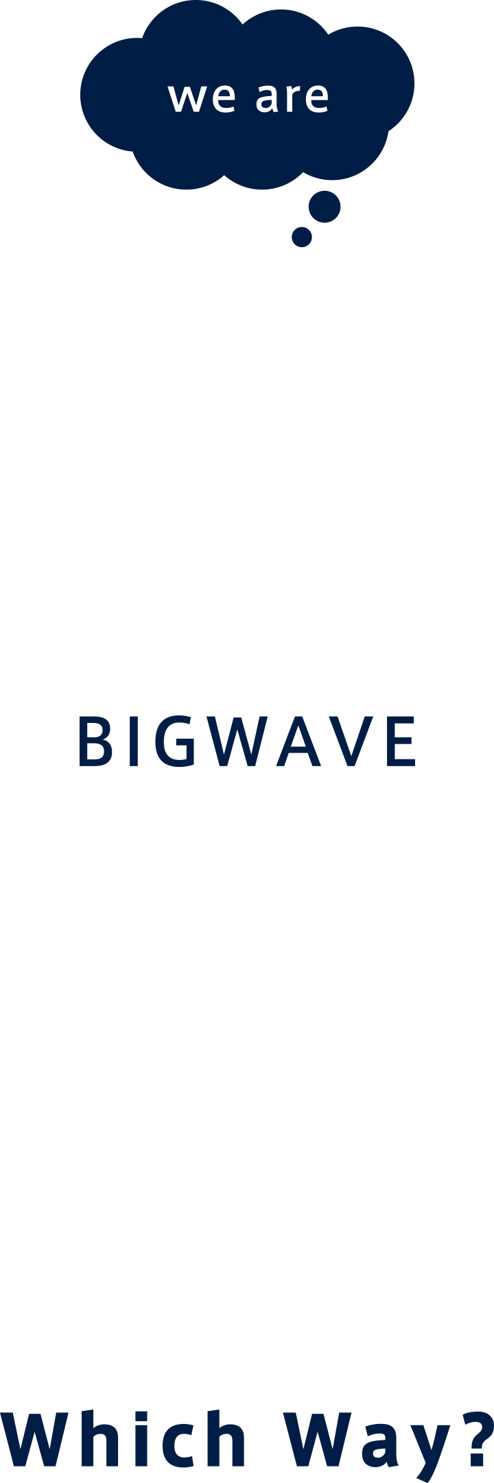 株式会社 BIGWAVE